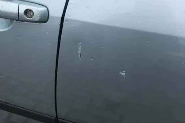 Suzuki Swift (2008) thumbnail 5