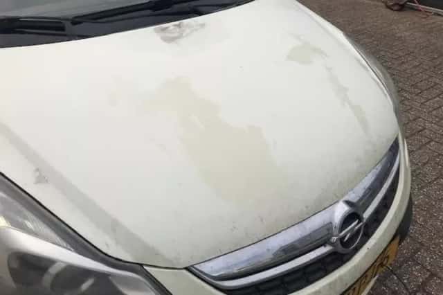 Opel Corsa (2011) thumbnail 4