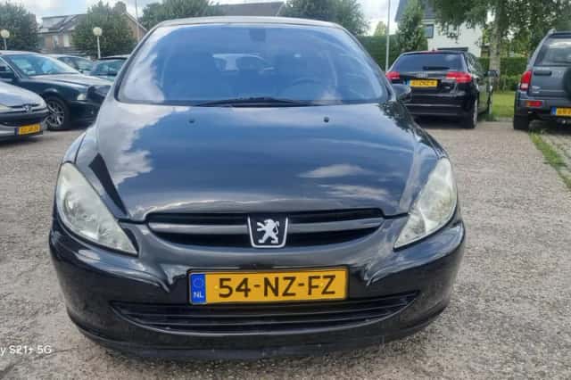 Peugeot 307 (2002) thumbnail 4