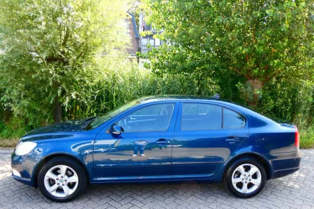 Škoda Octavia (2013) thumbnail 1