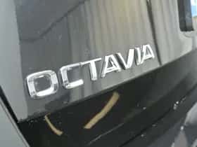 Škoda Octavia (2023) thumbnail 51