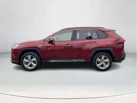 Toyota RAV4 (2019) thumbnail 2