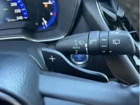 Toyota Corolla (2020) thumbnail 24