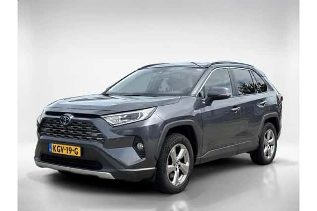 Toyota RAV4 (2019) thumbnail 1