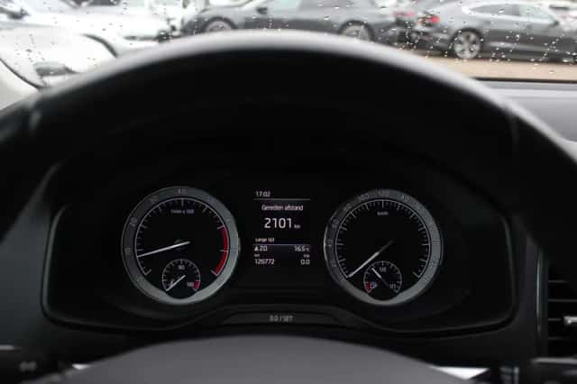 Škoda Karoq (2019) thumbnail 19