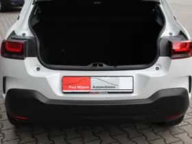 Citroën C4 Cactus (2019) thumbnail 13