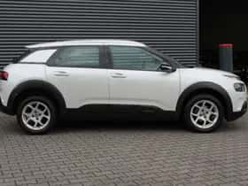 Citroën C4 Cactus (2019) thumbnail 17