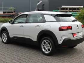 Citroën C4 Cactus (2019) thumbnail 19