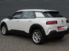 Citroën C4 Cactus (2019) thumbnail 24