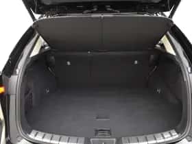 Lexus NX (2024) thumbnail 13