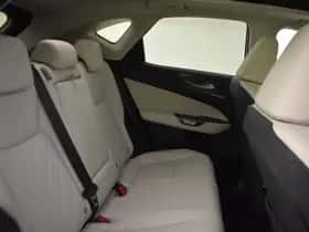 Lexus NX (2024) thumbnail 15