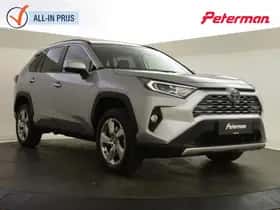 Toyota RAV4 (2019)