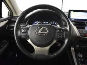 Lexus NX (2020) thumbnail 11