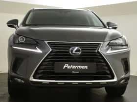 Lexus NX (2020) thumbnail 7