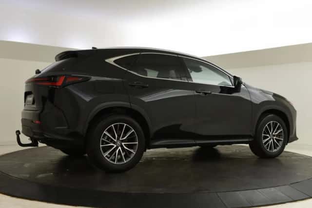 Lexus NX (2025) thumbnail 2