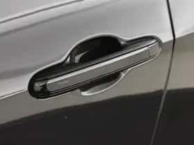 Lexus NX (2025) thumbnail 13