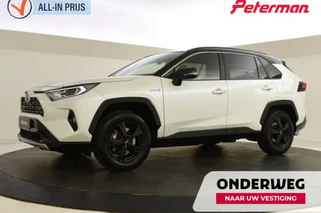 Toyota RAV4 (2019) thumbnail 1
