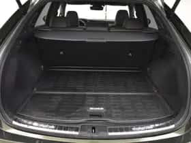 Lexus RX (2023) thumbnail 36