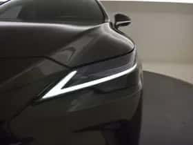 Lexus RX (2023) thumbnail 40