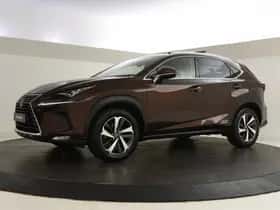 Lexus NX (2018) thumbnail 2