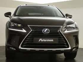 Lexus NX (2018) thumbnail 7