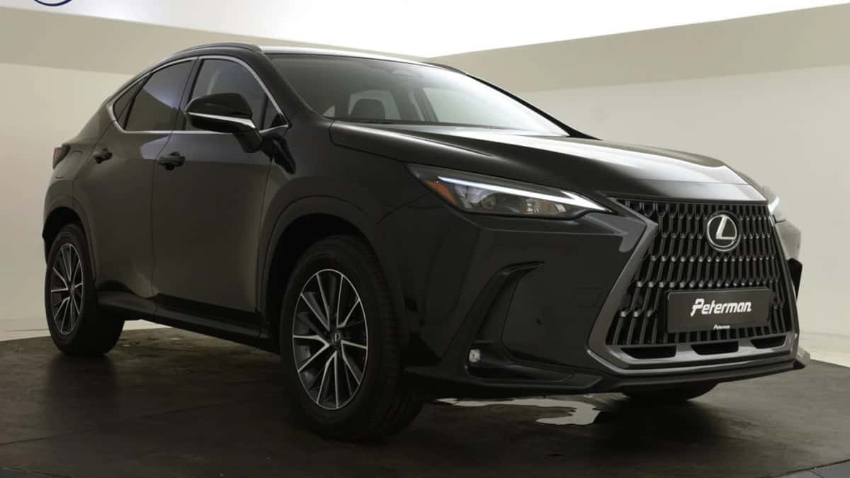 Lexus NX (2025) — foto 1