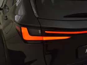 Lexus NX (2025) thumbnail 10