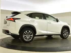 Lexus NX (2018) thumbnail 2