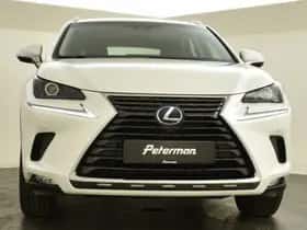 Lexus NX (2018) thumbnail 7