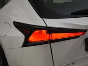 Lexus NX (2018) thumbnail 10