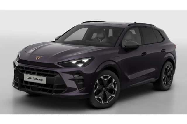 CUPRA Terramar (2026) thumbnail 2