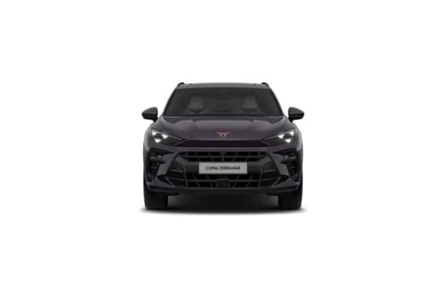 CUPRA Terramar (2026) thumbnail 9