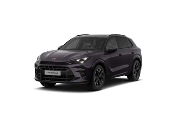 CUPRA Terramar (2026) thumbnail 10