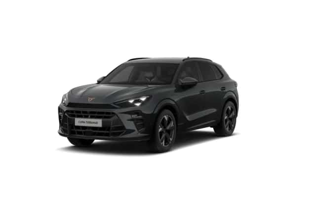 CUPRA Terramar (2026) thumbnail 10
