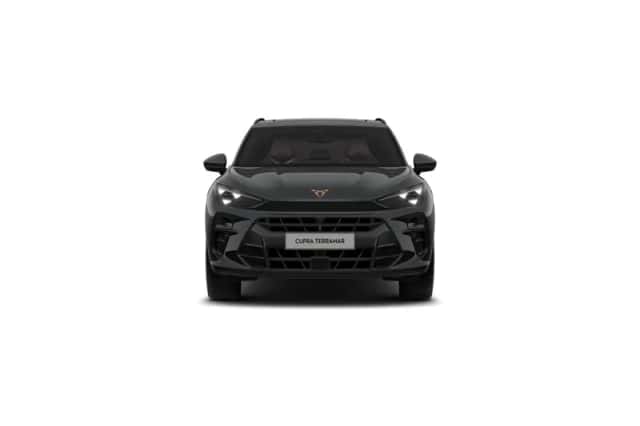 CUPRA Terramar (2026) thumbnail 9