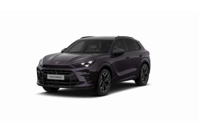 CUPRA Terramar (2026) thumbnail 10