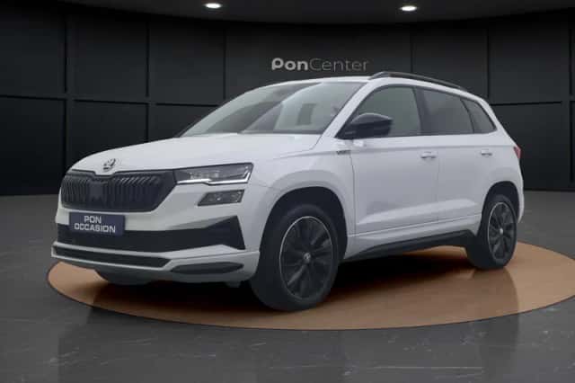 Škoda Karoq (2023) thumbnail 14