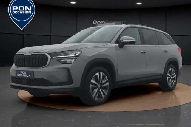 Škoda Kodiaq (2024) thumbnail 1