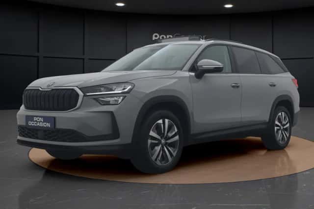 Škoda Kodiaq (2024) thumbnail 17