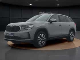 Škoda Kodiaq (2024) thumbnail 17