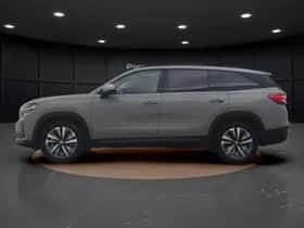 Škoda Kodiaq (2024) thumbnail 6