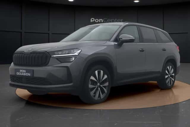 Škoda Kodiaq (2024) thumbnail 14