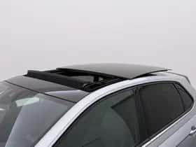Volkswagen Polo (2024) thumbnail 12