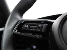 Porsche Onbekend (2025) thumbnail 36