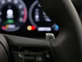 Porsche Onbekend (2025) thumbnail 30