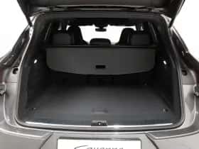 Porsche Onbekend (2025) thumbnail 17