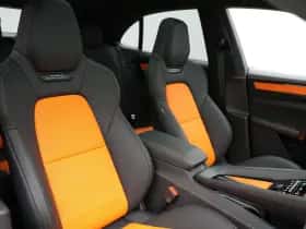 Porsche Onbekend (2026) thumbnail 38