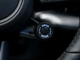 Porsche Onbekend (2025) thumbnail 35