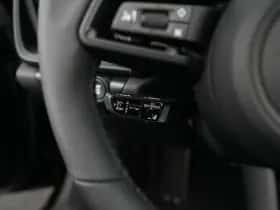 Porsche Onbekend (2026) thumbnail 8