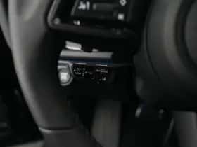 Porsche Onbekend (2026) thumbnail 39